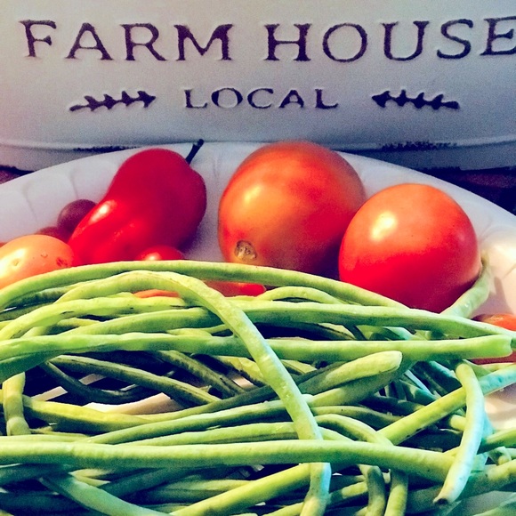 Meet your Posher, Hattie - Picture 6 of 16